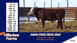 Lot #256H - AMAN D300 DELTA 256H