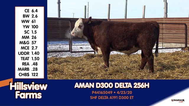 Lot #256H - AMAN D300 DELTA 256H