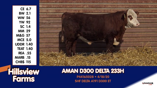 Lot #233H - AMAN D300 DELTA 233H
