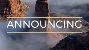 Our newest Partner, Shelly Dackonish
