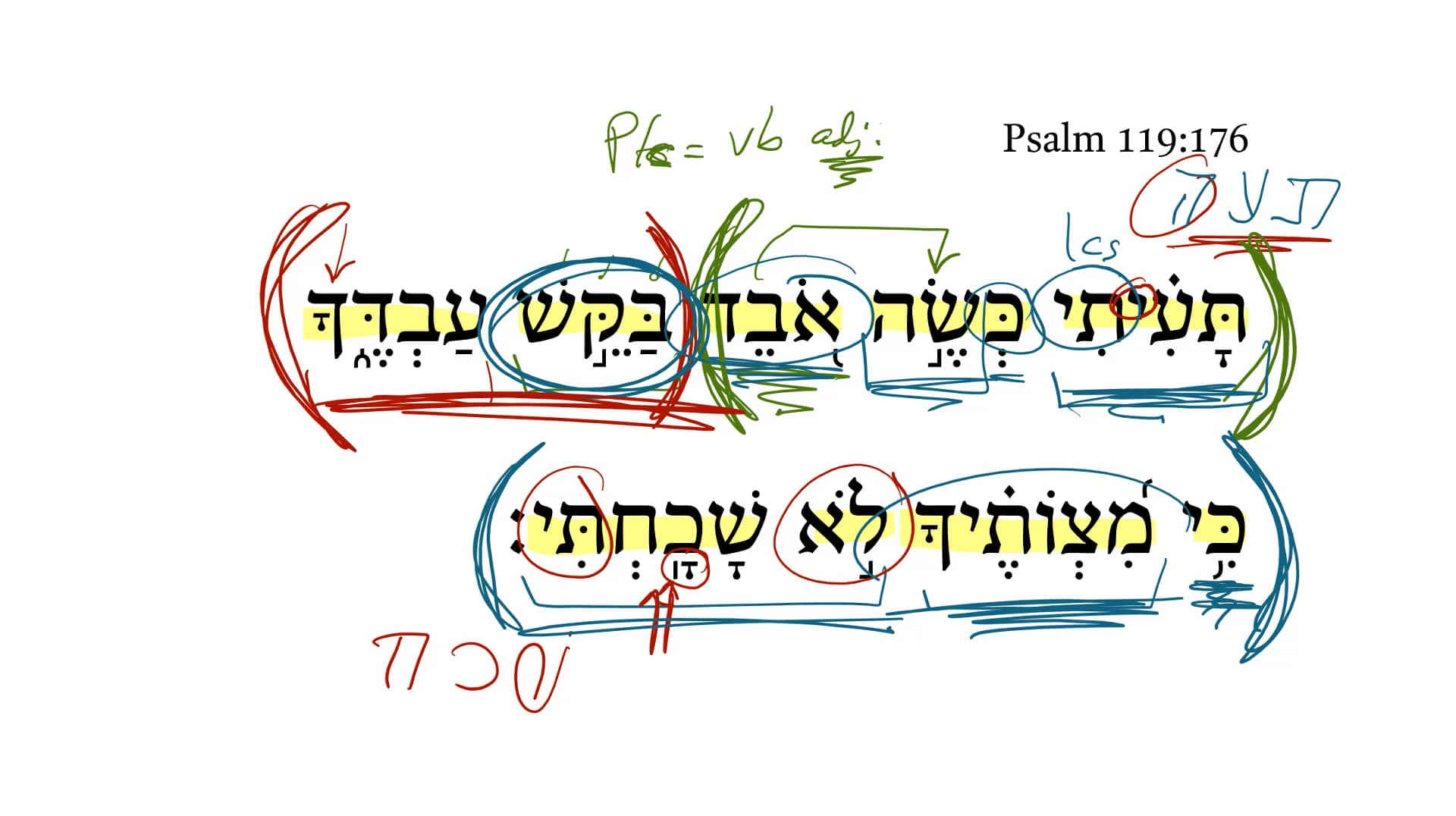 psalm-119-176-on-vimeo