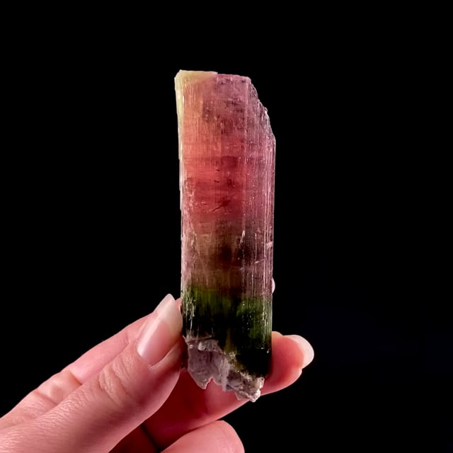 Tourmaline (multi-color) (ex Christian Weise Collection)