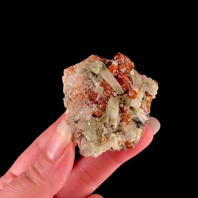 Grossular (var: Hessonite) with Diopside (ex Rich Kosnar Collection)