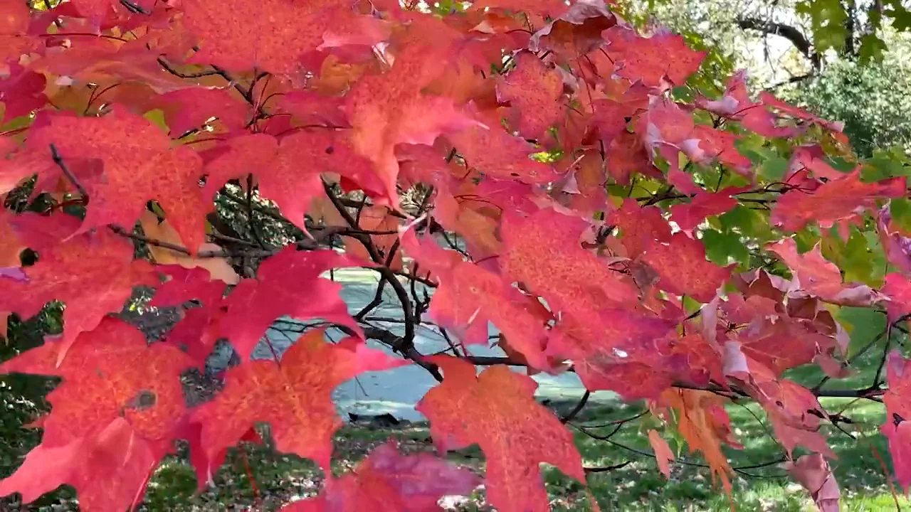 Pillars Hospice Testimonial 1 on Vimeo