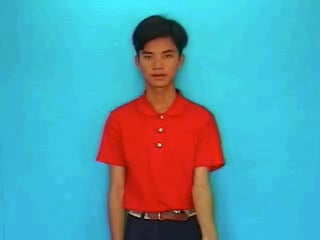 cat-canh-366