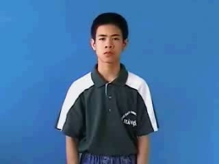 co-quan-3511