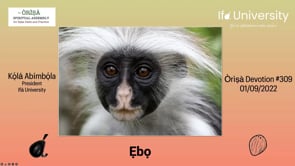 #309 Ẹbọ