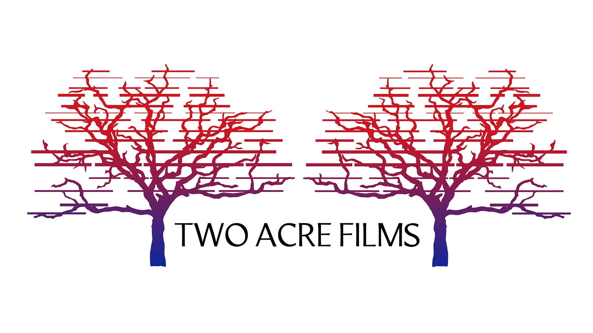 Two Acre Films - Reel 2021