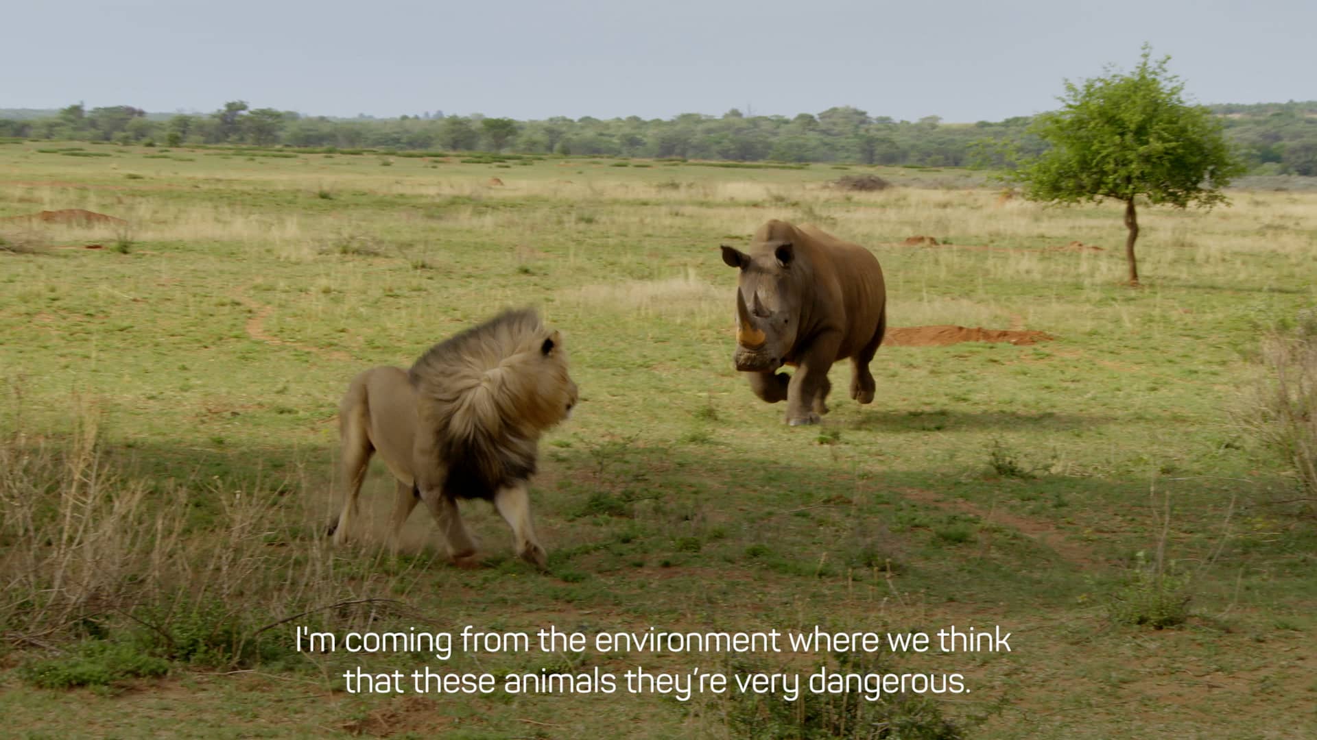Wildlife Special Forces
