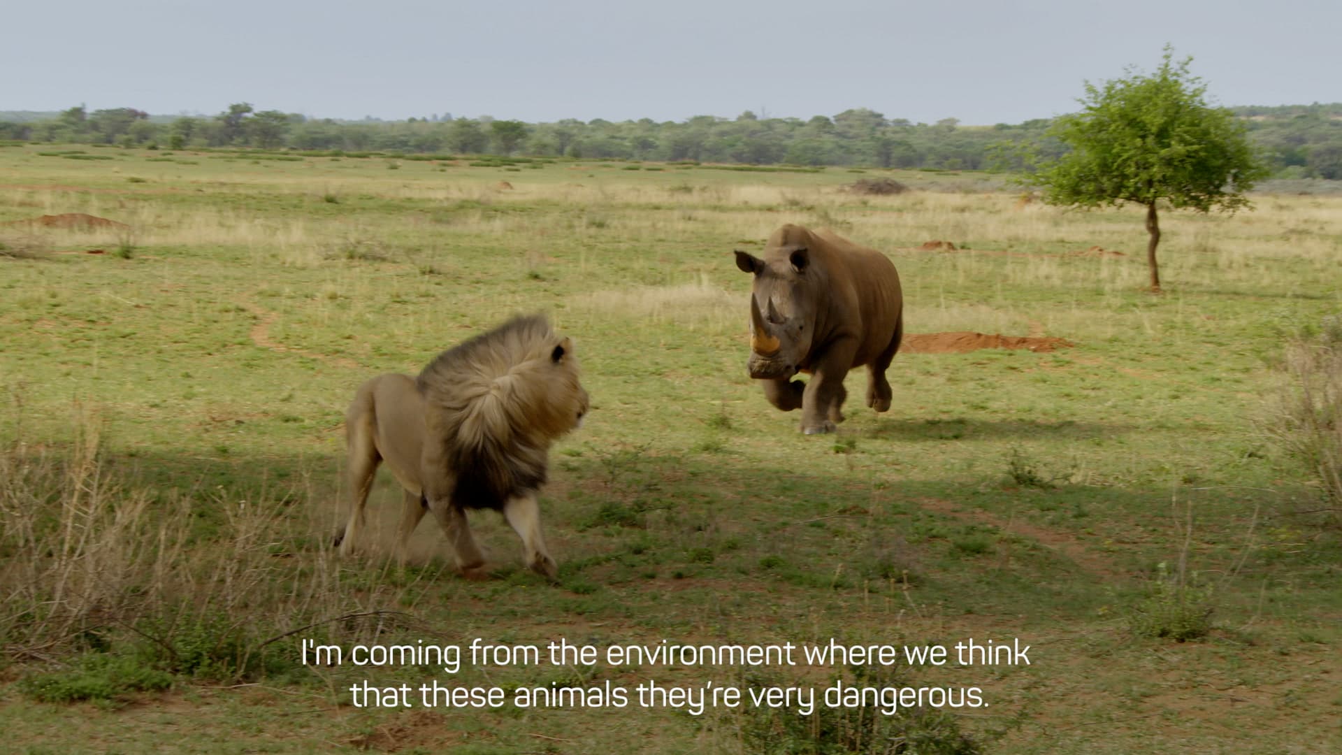 Wildlife Special Forces