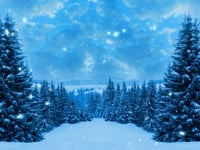 Commercial - Voice Over Example English &quot;Carry Christmas&quot; - Marc Bluhm