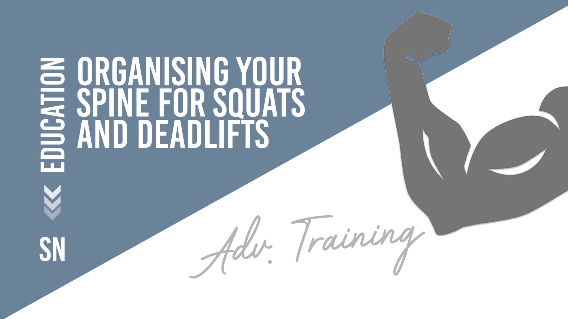 Organising your Spine for Squats and Deadlifts