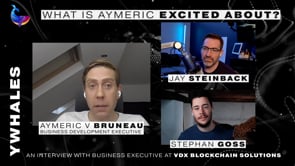 What is Aymeric so excited about? – An interview with business development exec at VDX Blockchain Solutions