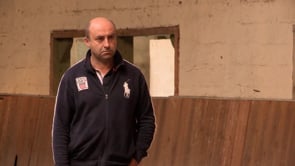LES METIERS DU CHEVAL