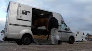 An Equine Career