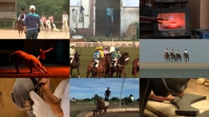 LES METIERS DU CHEVAL