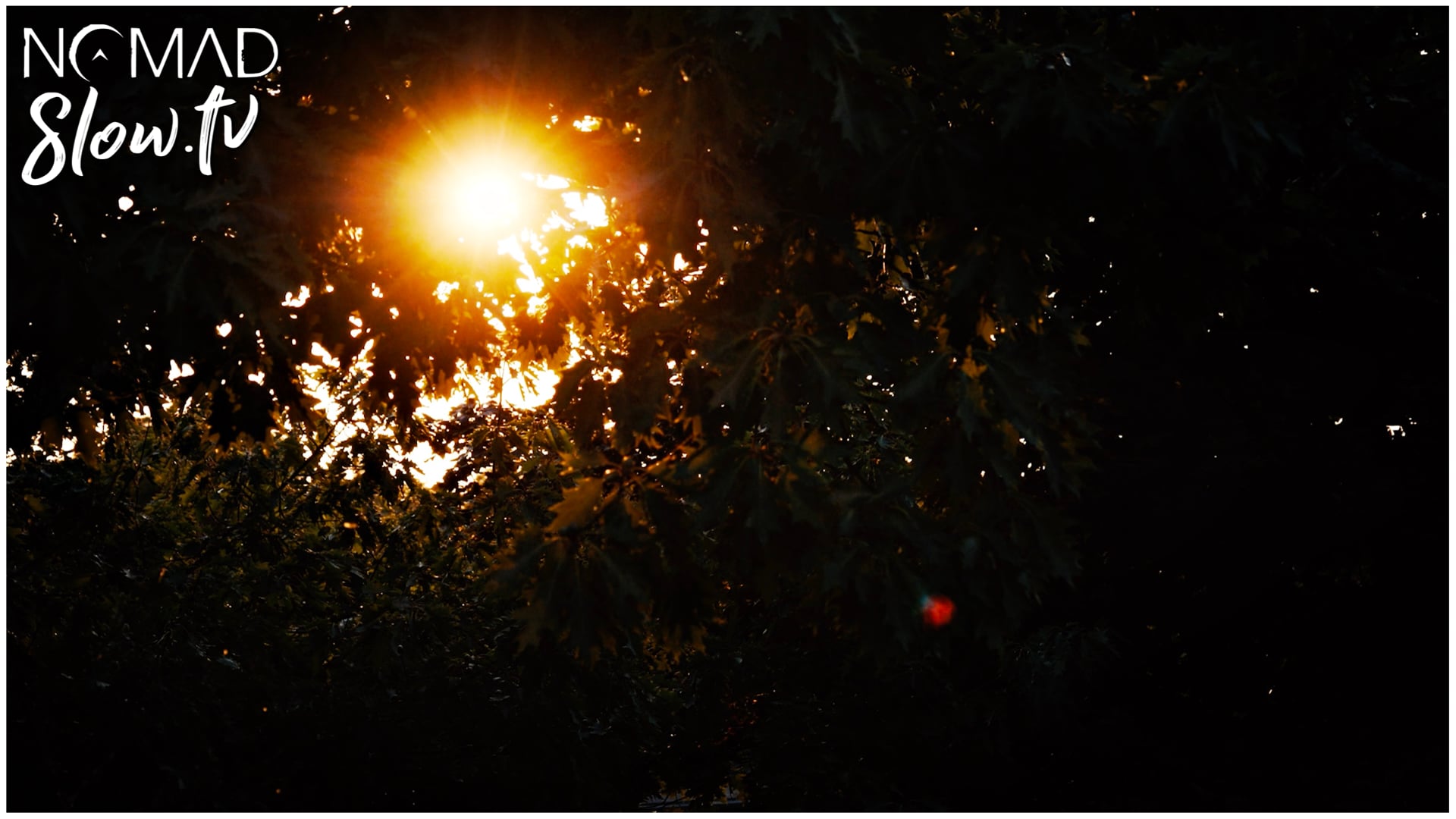 Sun Through Trees - piano for meditation