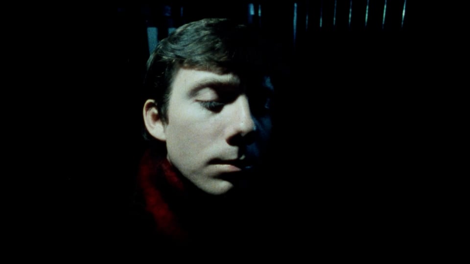 David Roche Talks to You about Love