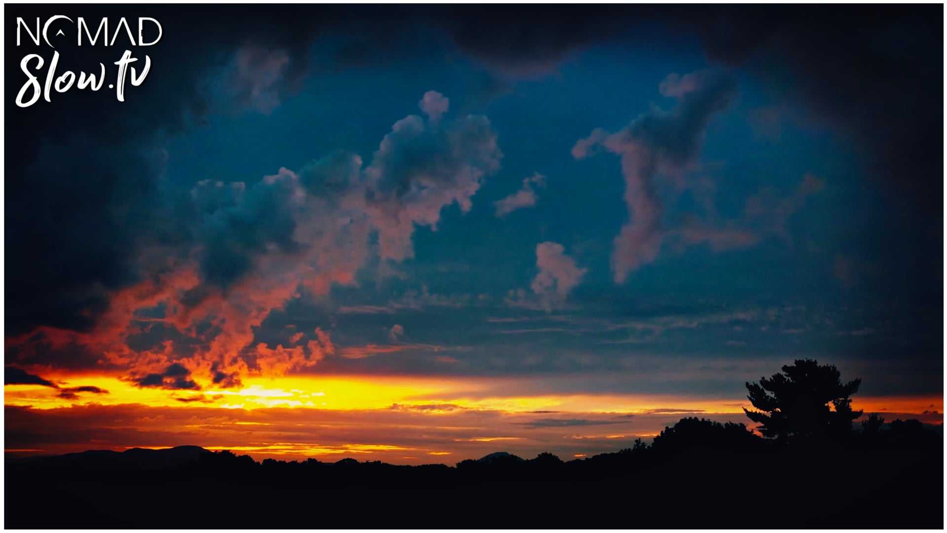 Windswept - ann annie