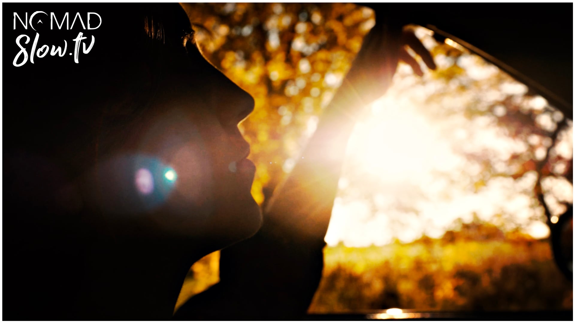 Charlotte Autumn Drive - Chris Zabriskie