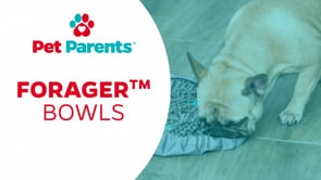 Pet Parents - Forager Bowls