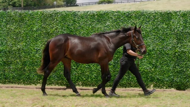 Lot 30