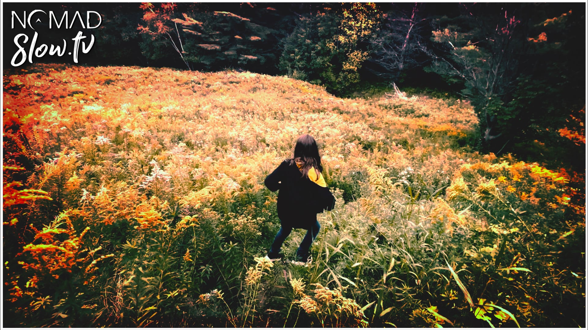 AliX Down Hill