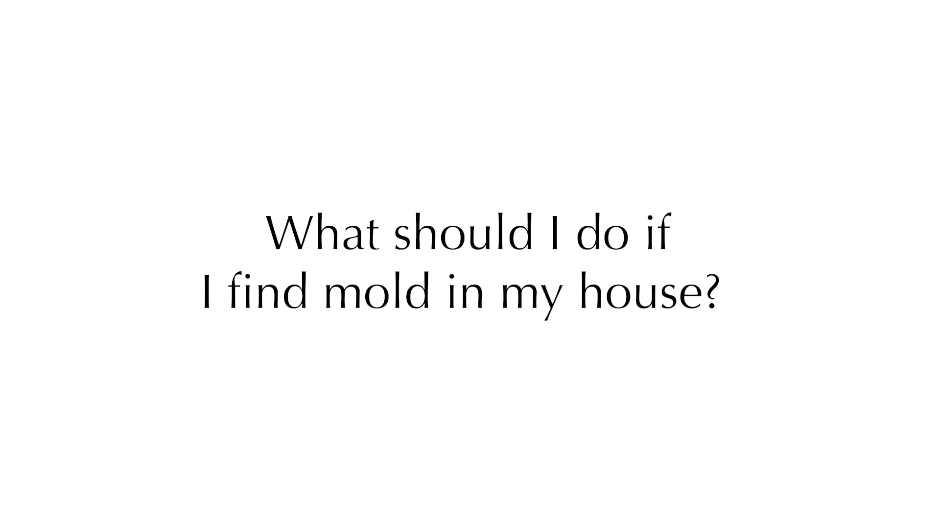 What should I do if I find mold in my house