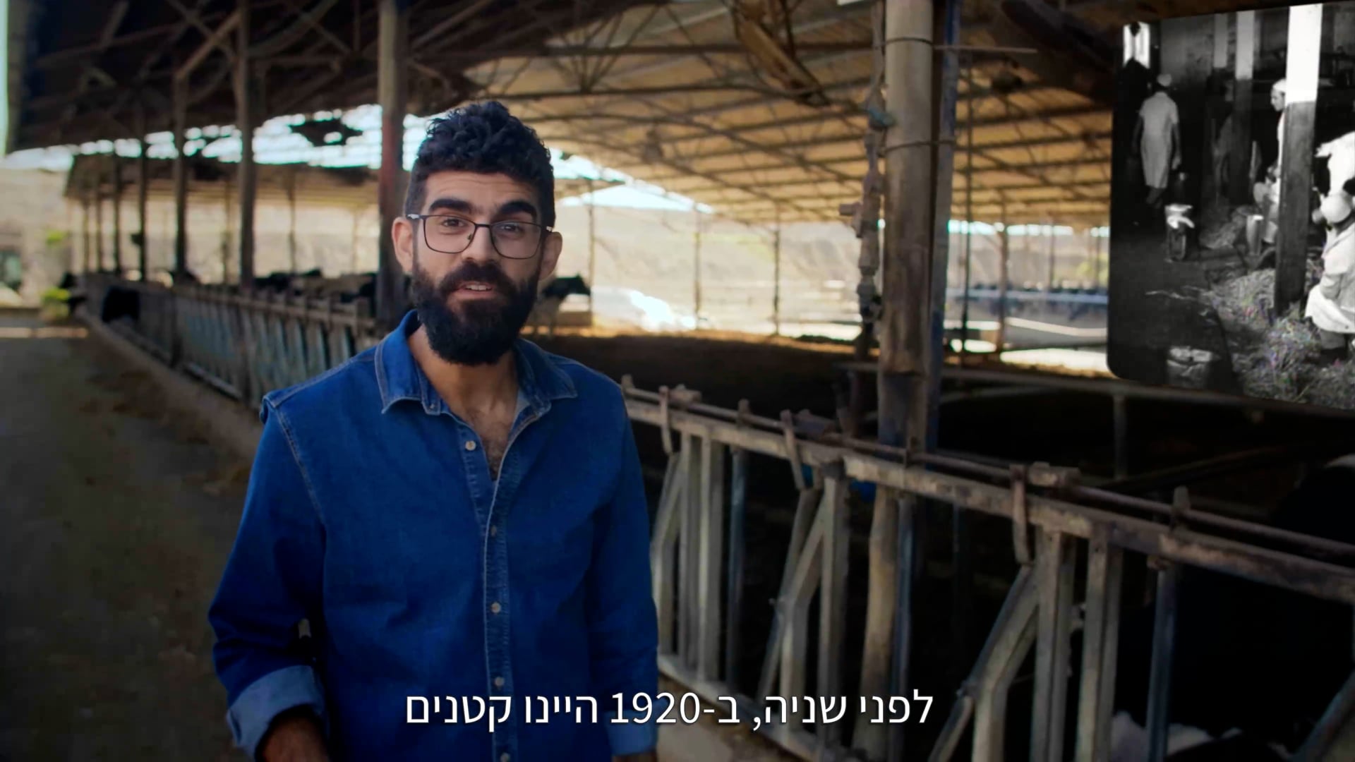 100 Years of Veterinary Services