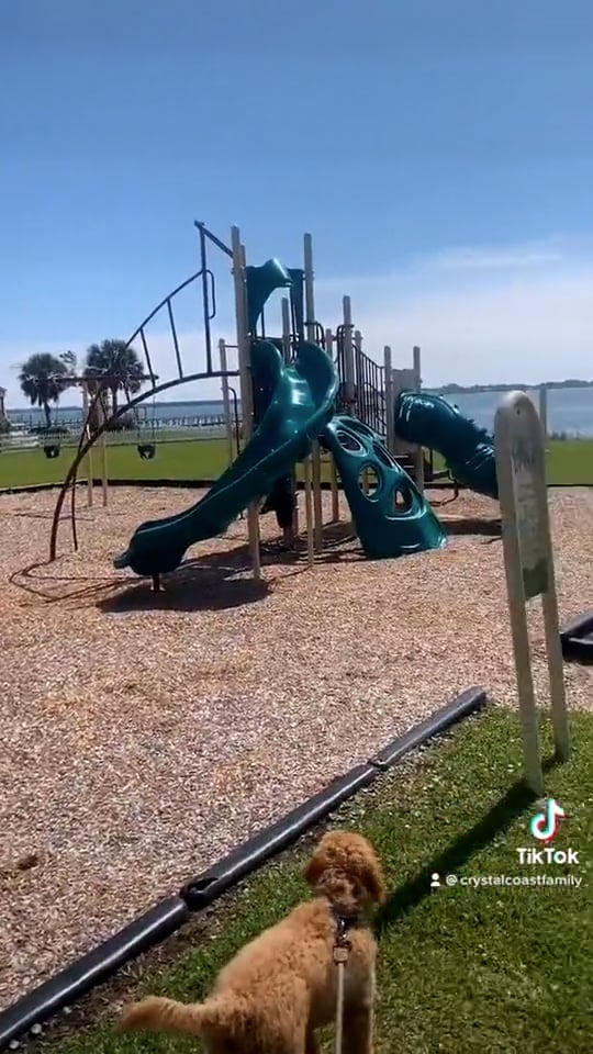 Mitchell Village Park on Vimeo