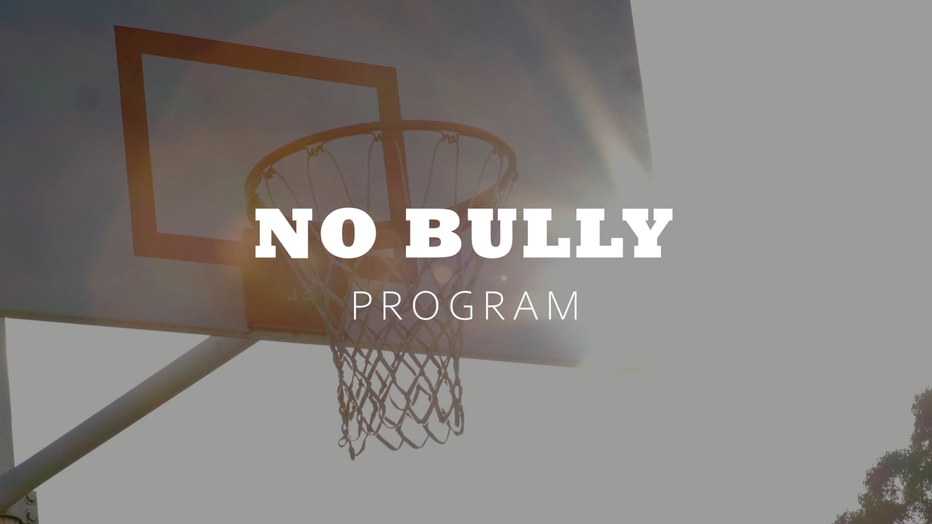 No Bully Program