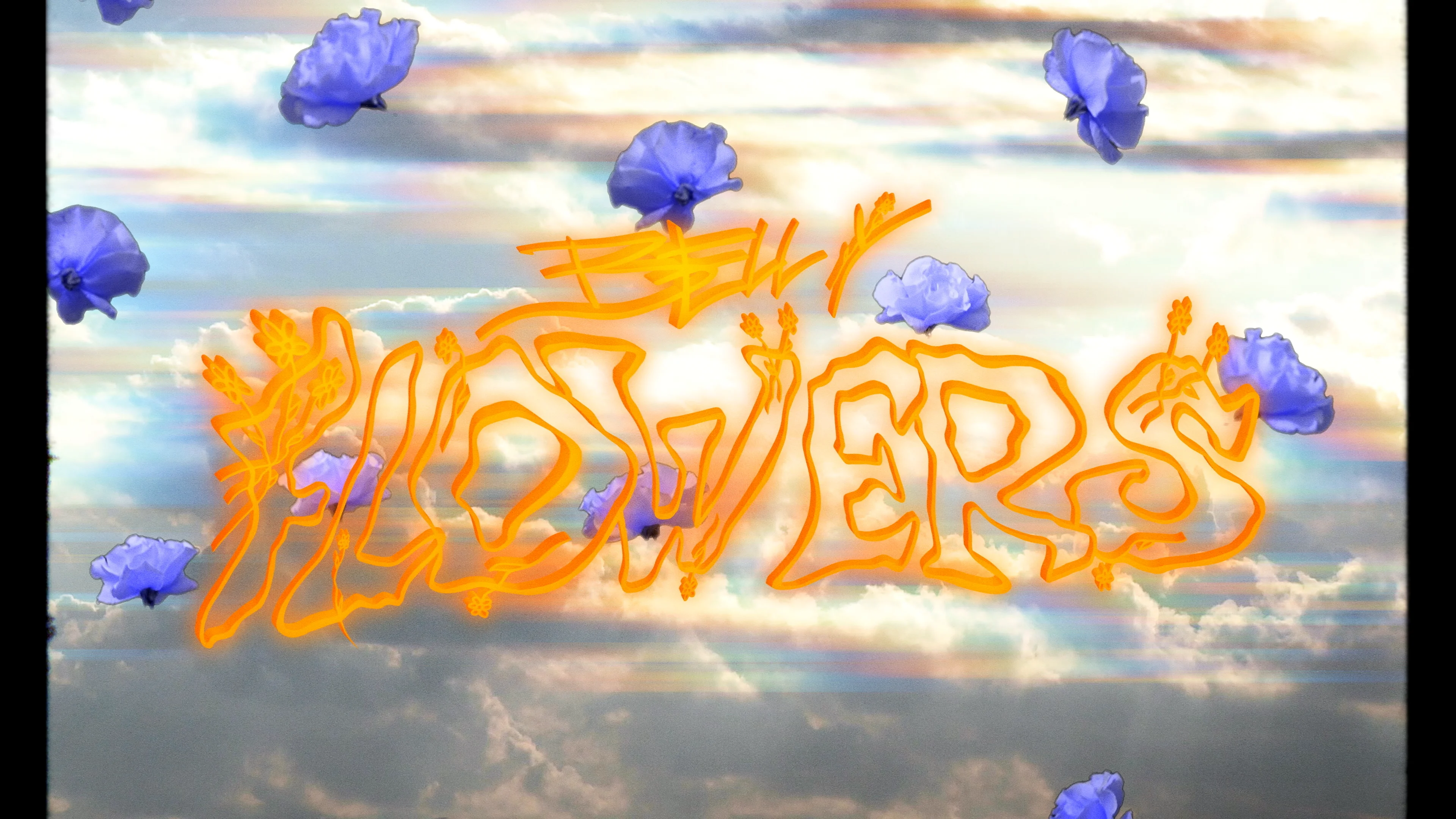 BELLY - FLOWERS