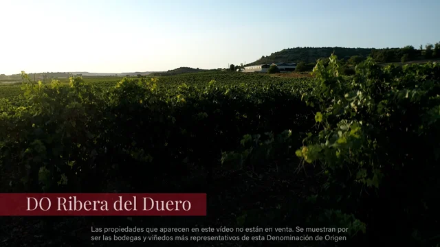 Ribera del Duero, Spain (All-Inclusive 3d/2n) – WineDestinations