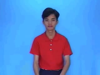 cay-gay-1196