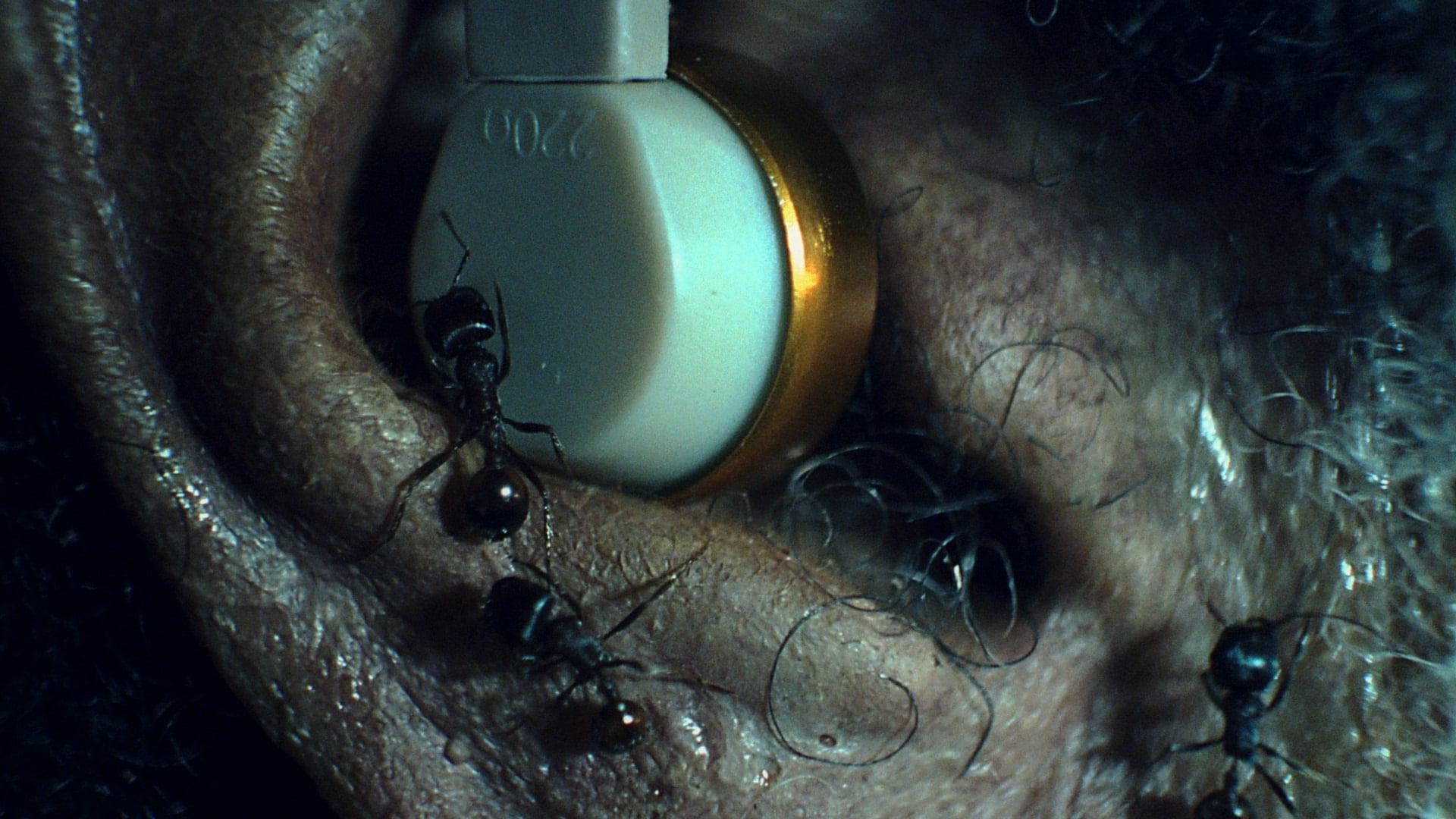 The Weeknd - Gasoline