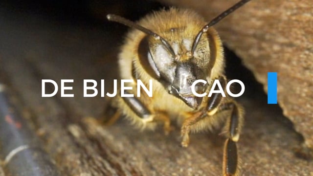 Eerste bijen-CAO ter wereld gepresenteerd
