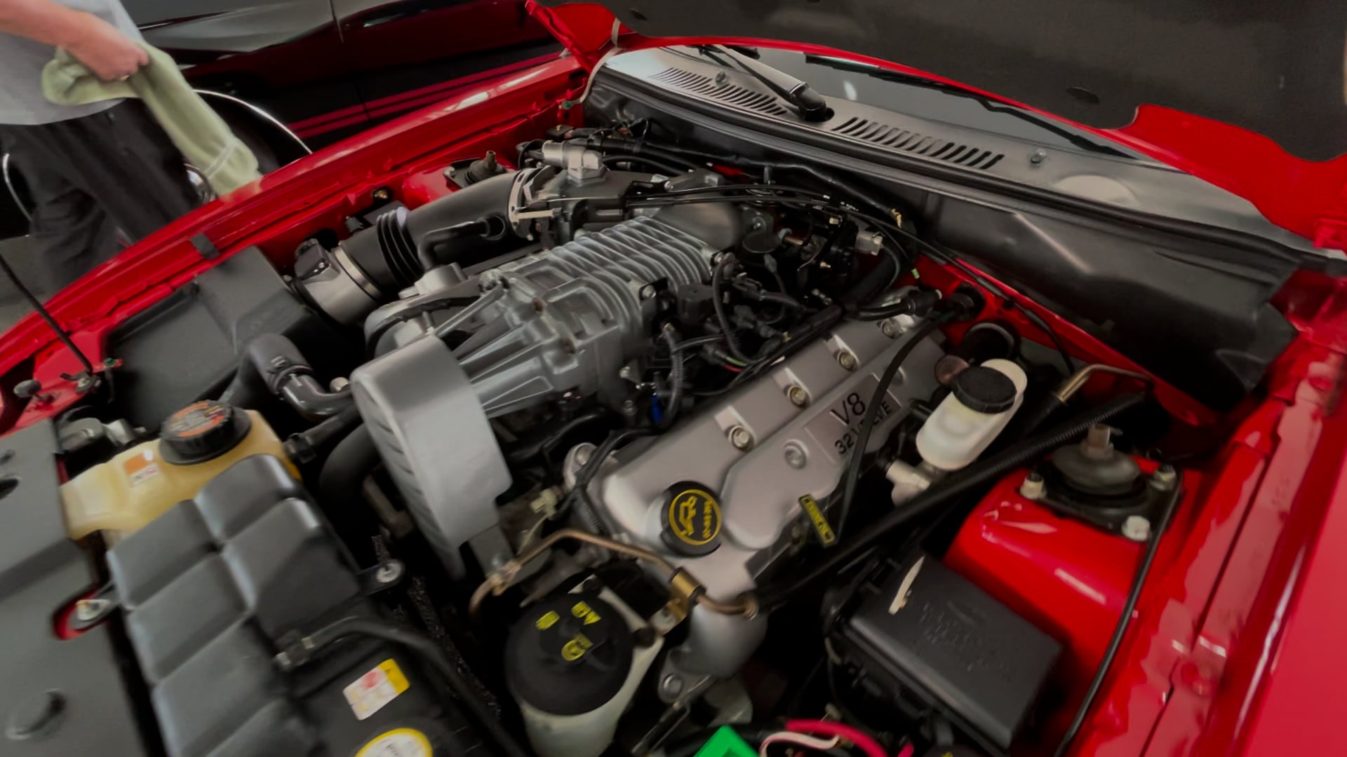 2004 Ford Mustang SVT Cobra | F286 | Kissimmee 2022