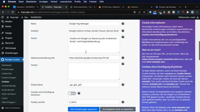 Analytics mit dem Tag Manager & Borlabs im WordPress implementieren