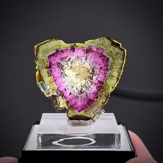 elbaite-tourmaline-slice-sm20-143-otjua-mine-namibia-mineral