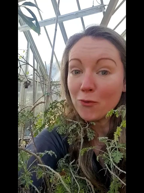 An introduction on Vimeo