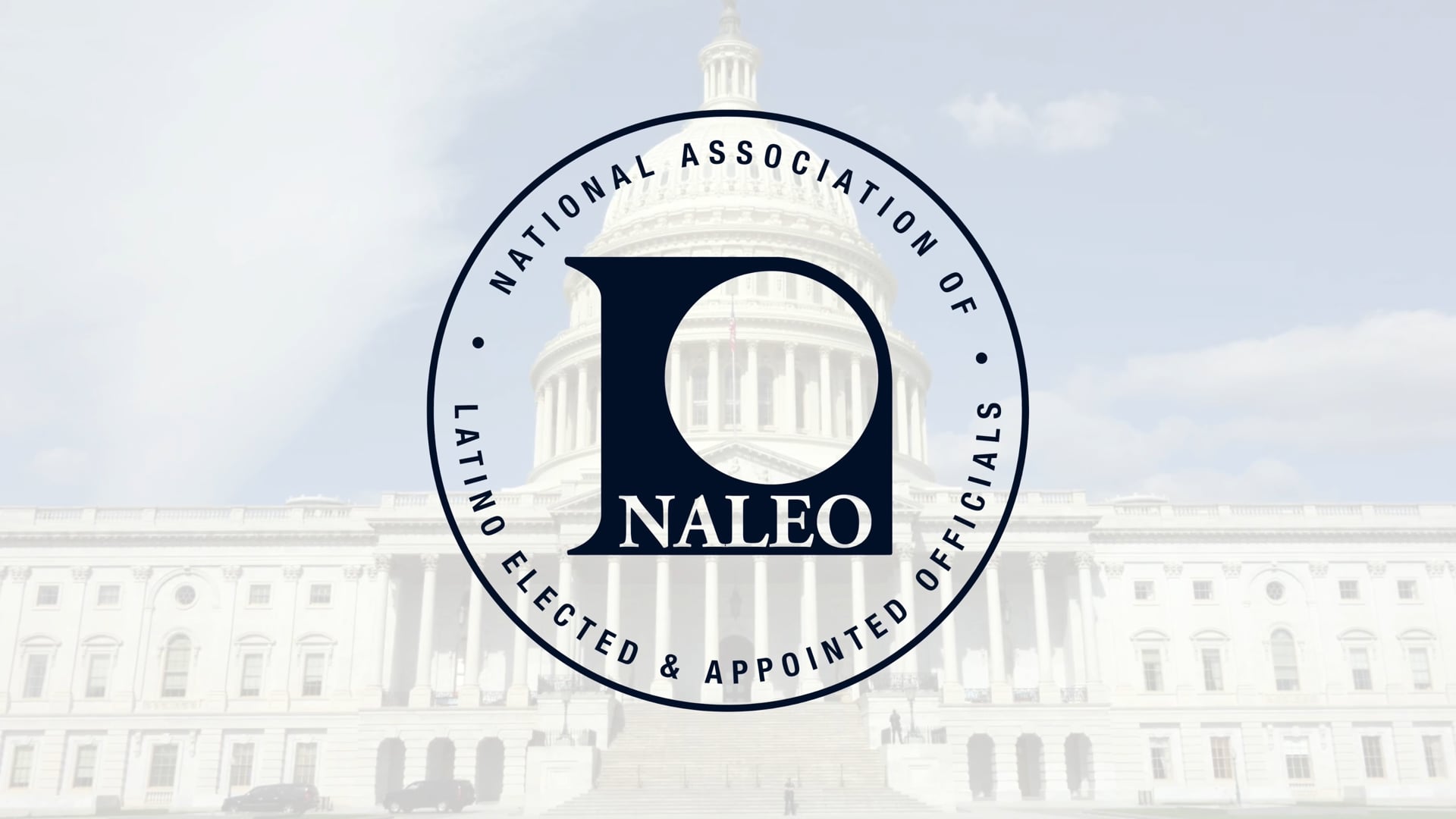 NALEO - Value of NALEO Network