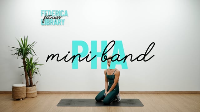 PHA Workout Mini Band