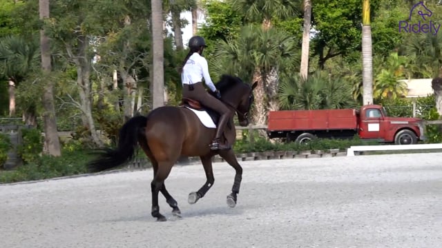 Counter Canter for Balance and Strength