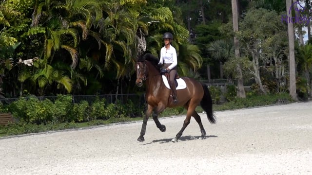 Introducing the Counter Canter