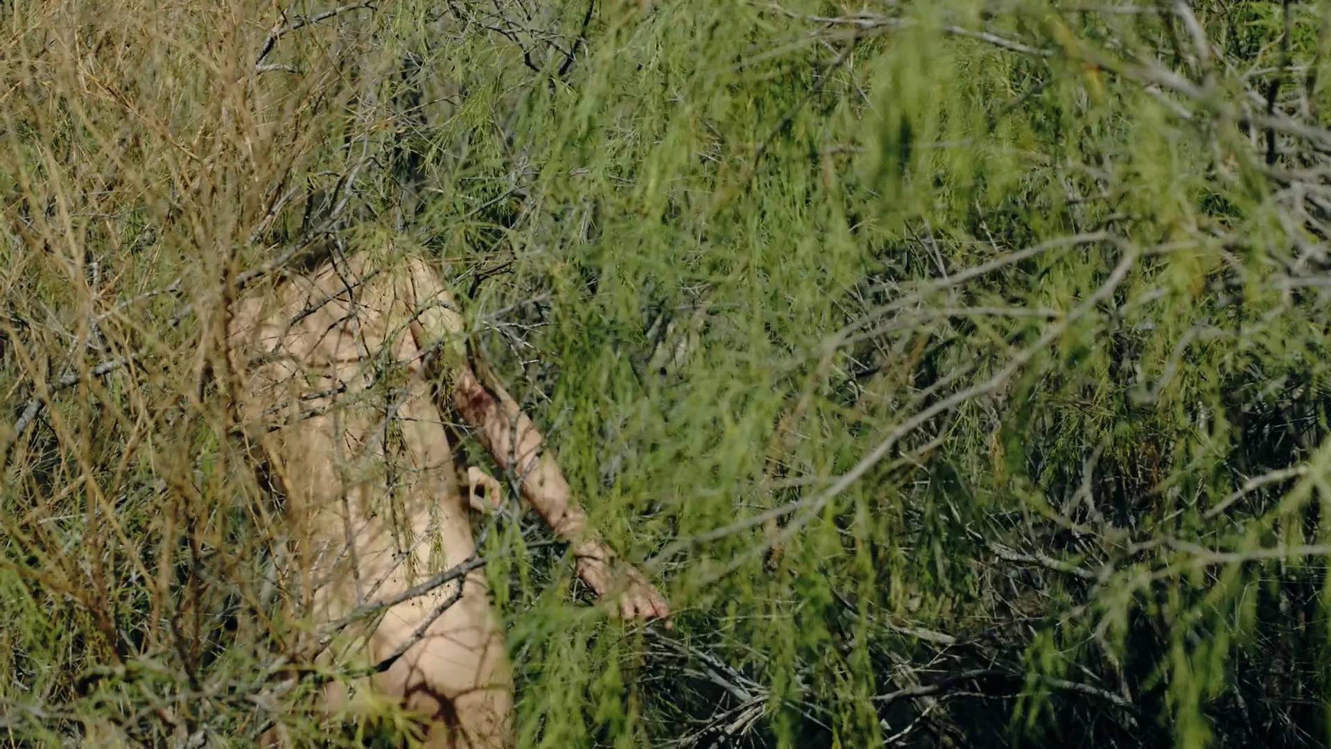 Fibres From Forests | Stella McCartney US