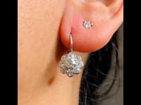 Diamond, Platinum, 18ct Earrings 10052-4982