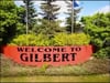 Gilbert City Council 1/11/22