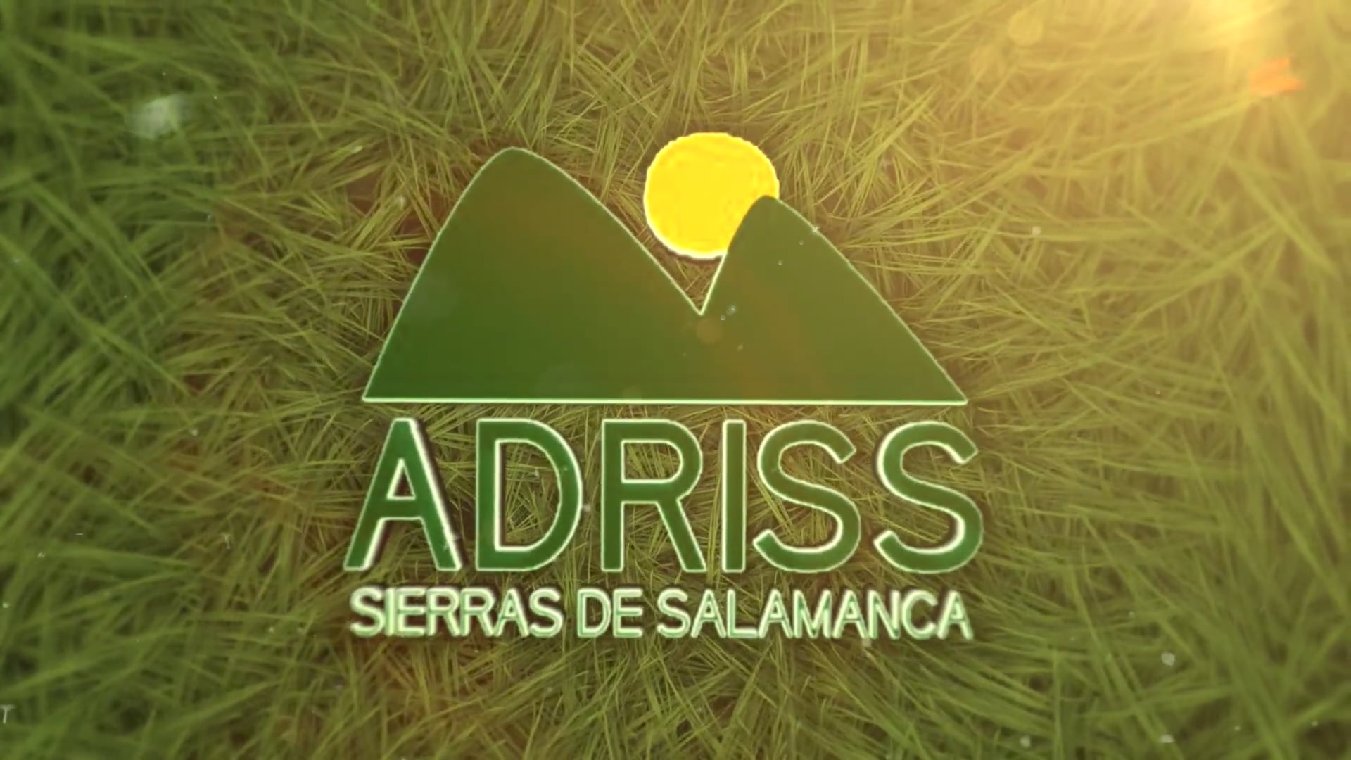 REPORTAJE - Tu casa pide vida - SIERRAS DE SALAMANCA