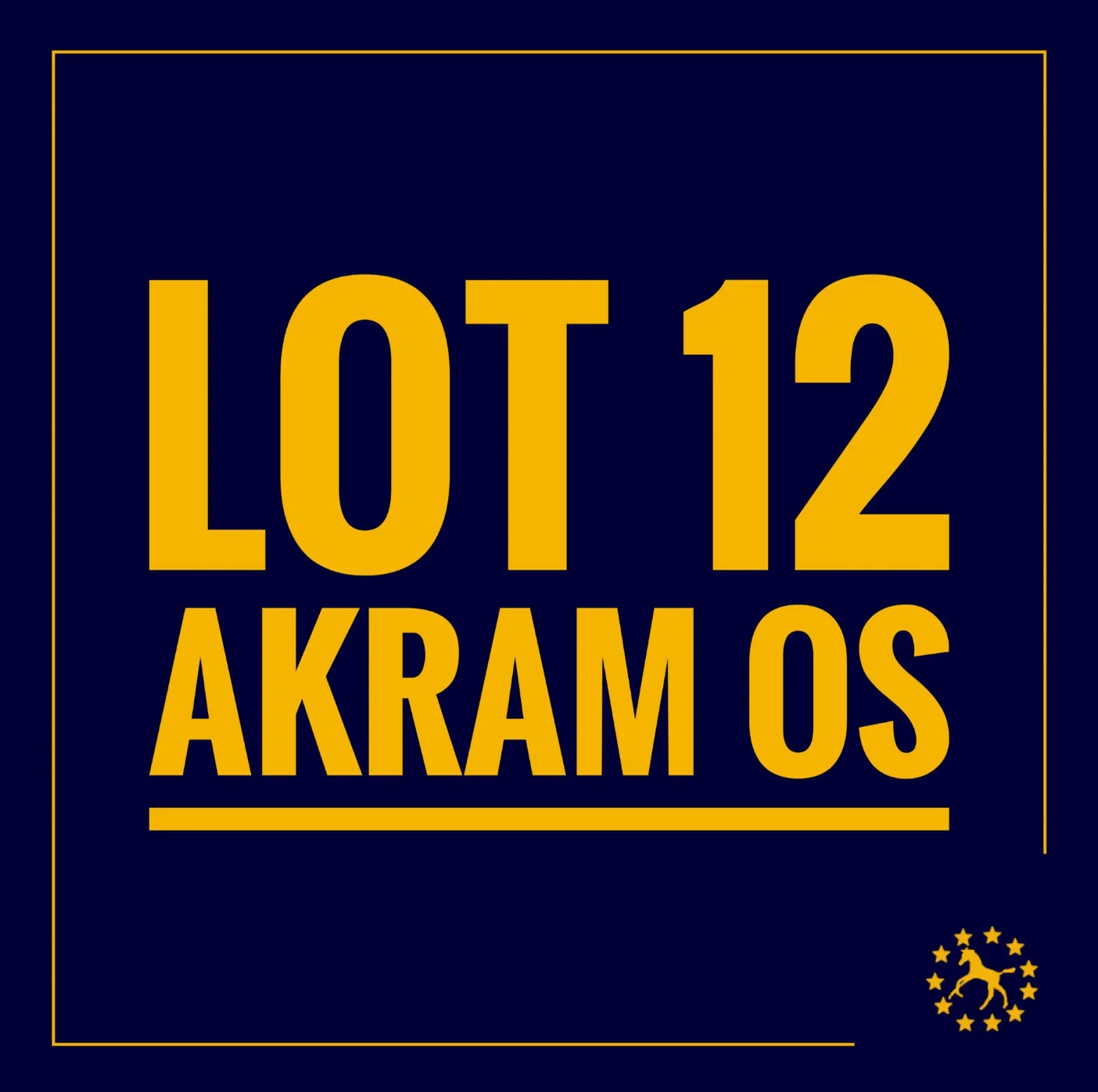 AKRAM OS on Vimeo