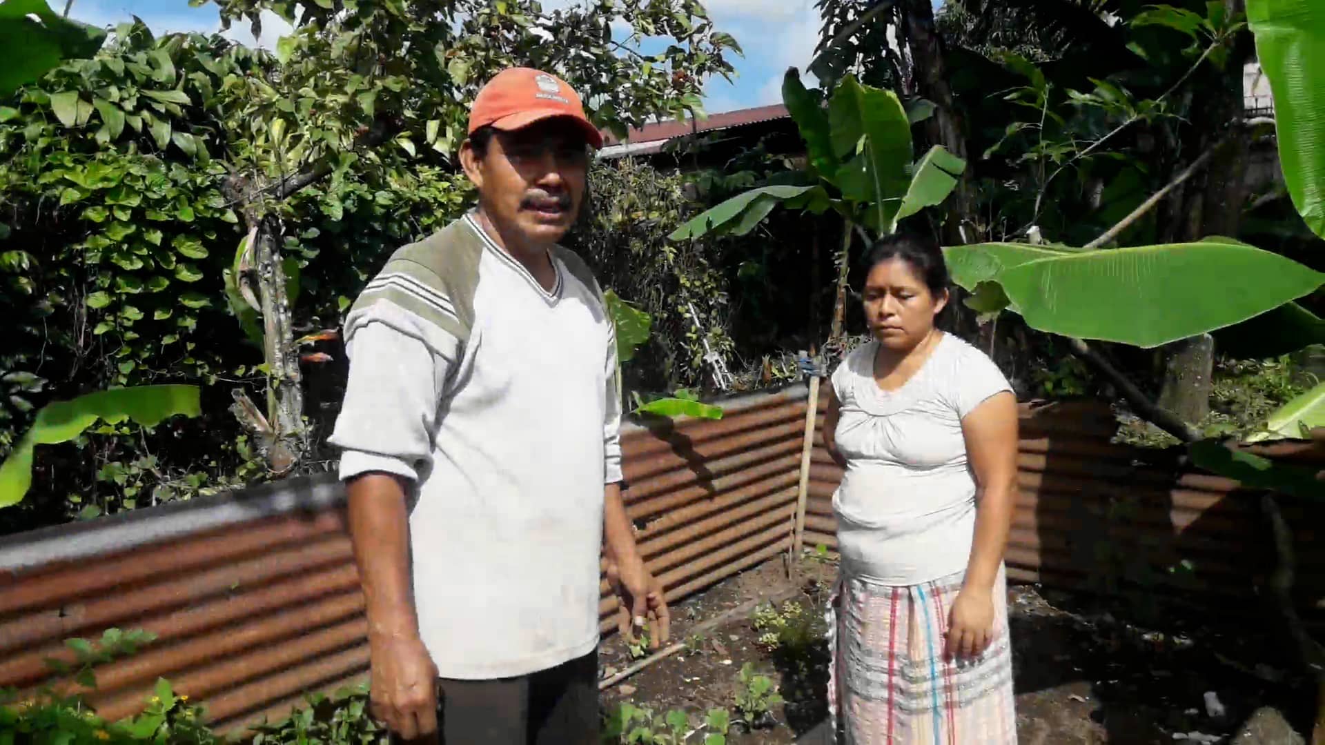 Don Jacintos Casa-Granja Nutrition Garden part 1 on Vimeo